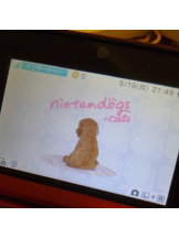 あるまぎ！ - まりんの女の子ブログ画像