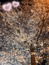 あるまぎ！ - ぽちゃっこの女の子ブログ画像