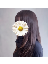 VIVID・CREW マダム・セカンドヴァージンはなれ - れいの女の子ブログ画像