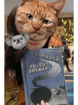 VIVID・CREW マダム・セカンドヴァージンはなれ - なつみの女の子ブログ画像