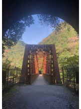 VIVID・CREW マダム・セカンドヴァージンはなれ - ききの女の子ブログ画像