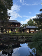 VIVID・CREW マダム・セカンドヴァージン十三店 - さゆりの女の子ブログ画像