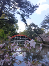 VIVID・CREW マダム・セカンドヴァージン十三店 - そらの女の子ブログ画像