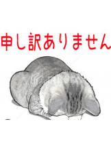 VIVID・CREW マダム・セカンドヴァージン十三店 - じゅりの女の子ブログ画像