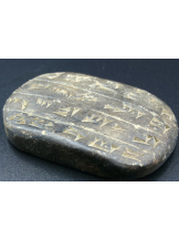 VIVID・CREW マダム・セカンドヴァージン十三店 - のぞみの女の子ブログ画像