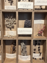 VIVID・CREW十三店 - あきらの女の子ブログ画像