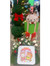 エロチカセブン - NO.25　みおの女の子ブログ画像