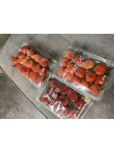 あるまぎ！ - こむぎの女の子ブログ画像