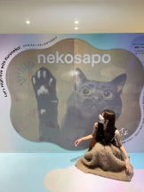 Cheers - ＊さよ＊の女の子ブログ画像