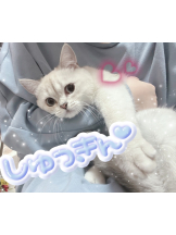 VIVIDCREW Pink Party Paradise - るいの女の子ブログ画像
