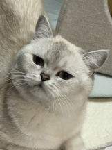 VIVIDCREW Pink Party Paradise - るいの女の子ブログ画像