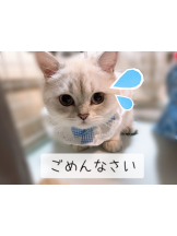 VIVIDCREW Pink Party Paradise - るいの女の子ブログ画像