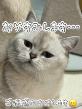 VIVIDCREW Pink Party Paradise - るいの女の子ブログ画像