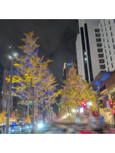 VIVID・CREW マダム・セカンドヴァージンはなれ - さおりの女の子ブログ画像