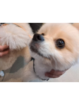 あるまぎ！ - すばるの女の子ブログ画像