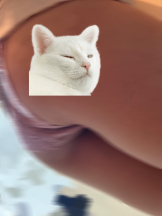 あるまぎ！ - あいざわの女の子ブログ画像