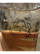 あるまぎ！ - れいるの女の子ブログ画像