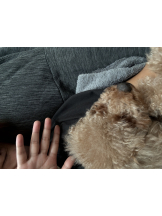 あるまぎ！ - かえでの女の子ブログ画像