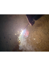 あるまぎ！ - かえでの女の子ブログ画像