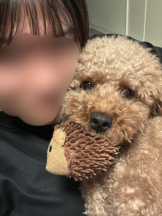 あるまぎ！ - かえでの女の子ブログ画像