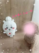 VIVID・CREW マダム・セカンドヴァージン十三店 - りんかの女の子ブログ画像