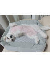 VIVID・CREW マダム・セカンドヴァージン十三店 - はなの女の子ブログ画像