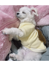 VIVID・CREW マダム・セカンドヴァージン十三店 - はなの女の子ブログ画像