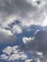 VIVID・CREW マダム・セカンドヴァージン十三店 - まどかの女の子ブログ画像