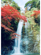 VIVID・CREW マダム・セカンドヴァージン十三店 - みくるの女の子ブログ画像