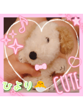 club Lily - ひよりの女の子ブログ画像