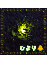 club Lily - ひよりの女の子ブログ画像