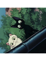 VIVID・CREW マダム・セカンドヴァージンはなれ - かこの女の子ブログ画像