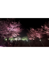 あるまぎ！ - あむちゅの女の子ブログ画像