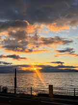 VIVID CREW梅田店 - ここあの女の子ブログ画像