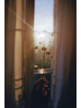 VIVID・CREW マダム・セカンドヴァージンはなれ - みわの女の子ブログ画像