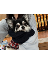 梅田堂山女学院 - いおり【梅田堂山女学院】の女の子ブログ画像