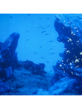 VIVID CREW梅田店 - みりの女の子ブログ画像