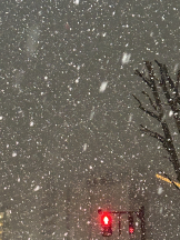 VIVID CREW梅田店 - あいの女の子ブログ画像