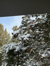 月兎 - ぼたんの女の子ブログ画像