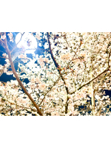 VIVID・CREW マダム・セカンドヴァージンはなれ - まいの女の子ブログ画像