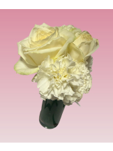 VIVID・CREW マダム・セカンドヴァージンはなれ - カエラの女の子ブログ画像