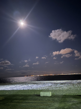 VIVID・CREW マダム・セカンドヴァージンはなれ - りあの女の子ブログ画像