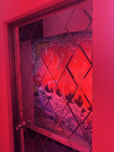 VIVIDCREW Pink Party Paradise - みるの女の子ブログ画像