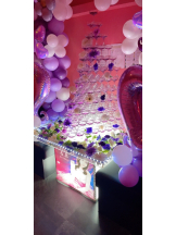 VIVIDCREW Pink Party Paradise - めるみの女の子ブログ画像