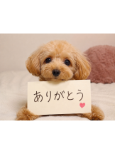 VIVID CREW梅田店 - らむの女の子ブログ画像