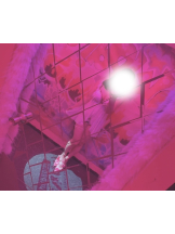 VIVIDCREW Pink Party Paradise - はるなの女の子ブログ画像