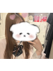 梅田堂山女学院 - あやの女の子ブログ画像