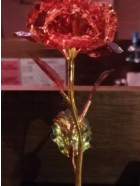 ルナ