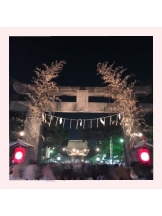 ViVian - ニーナの女の子ブログ画像