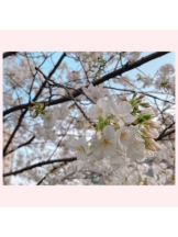 ViVian - ニーナの女の子ブログ画像